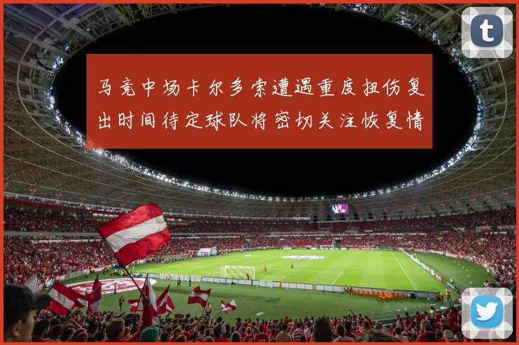 马竞中场卡尔多索遭遇重度扭伤复出时间待定球队将密切关注恢复情况